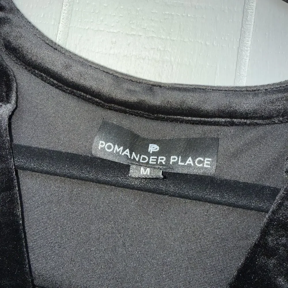 Pomander Place Women’s Black Velvet Kenzo Dress Size Medium - Picture 5 of 6